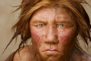 Un renumit genetician de la Universitatea Harvard caută voluntare pentru a readuce la viaţă omul de Neanderthal.