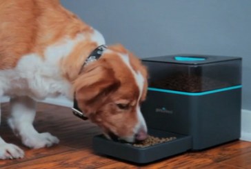 Cum îţi poţi hrăni pisica sau câinele prin telefon: Invenţia inedită care te anunţă pe Facebook când a mâncat animalul tău . VIDEO