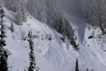 Trei salvamonţi austrieci au murit într-o avalanşă în Alpi