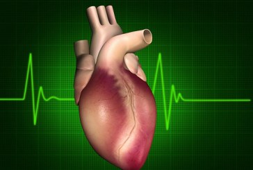 STUDIU: O inimă din celulele pacientului ar putea fi creată cu ajutorul imprimantelor 3D