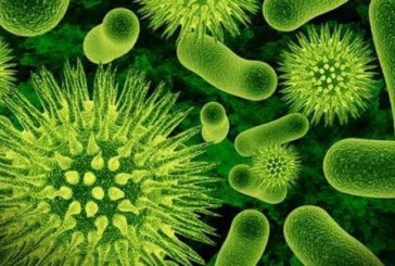 ALERTĂ Bacteriile rezistente la antibiotice ar putea ucide 10 milioane de oameni pe an