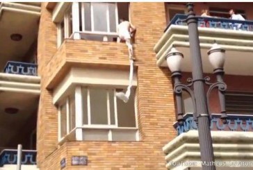 El şi ea se ceartă pe balcon, amantul fuge în chiloţi pe fereastră!  VIDEO