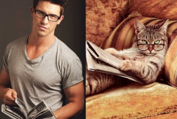 Feline vs Modele