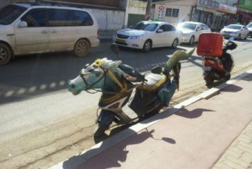 Şoselele lumii, pline de ciudăţenii FOTO