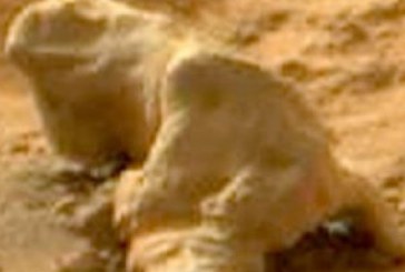 Rover-ul Curiosity a fotografiat o piatra care arata ca o iguana pe Marte. VIDEO