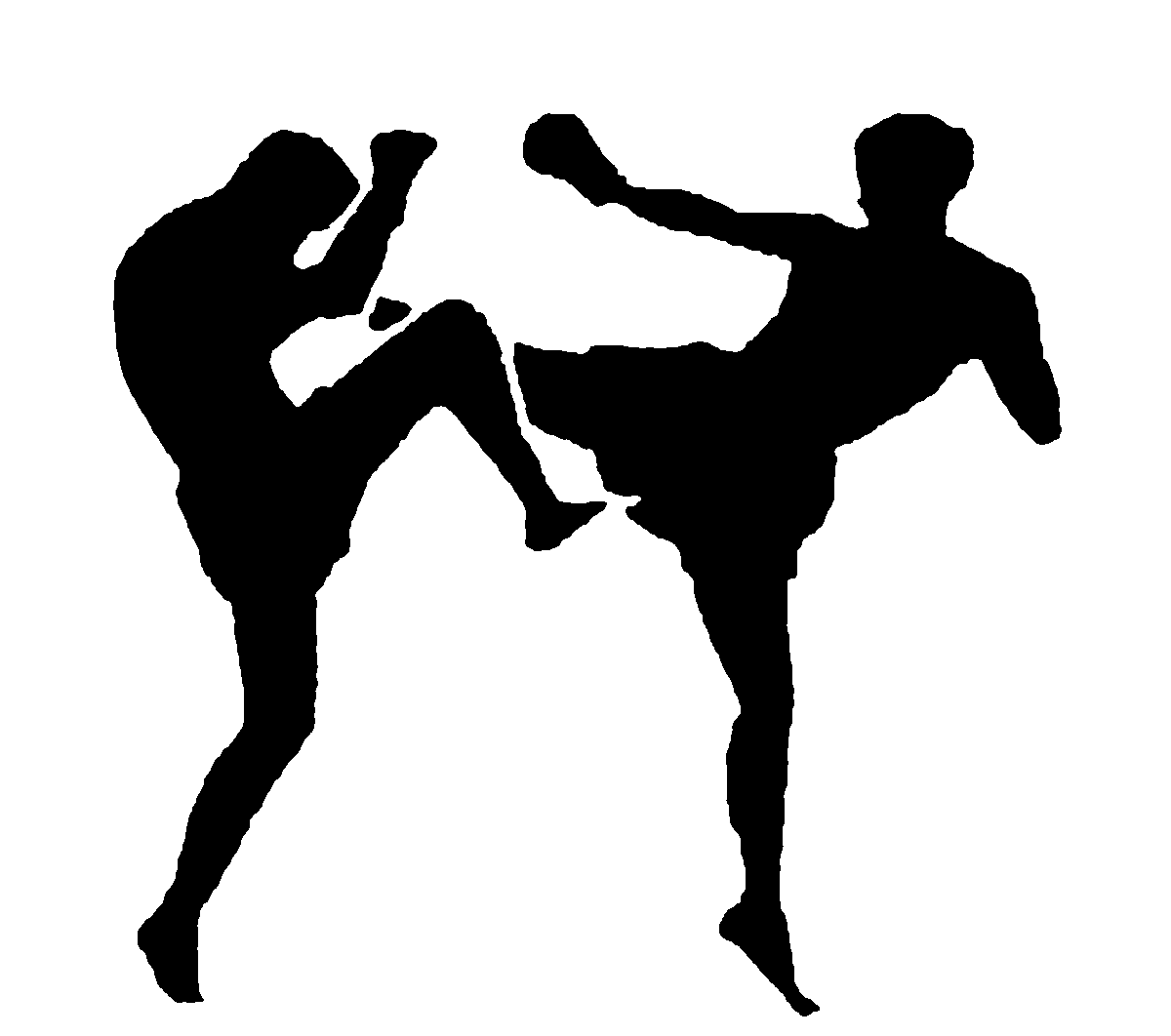 Doi Kickboxeri din Orhei, selectaţi pentru Campionatul mondial din luna mai