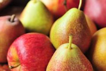 Mai multe companii din R. Moldova vor putea exporta din nou mere în Rusia
