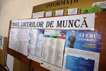    TÂRG al locurilor de MUNCĂ  la Orhei, cu 350 de posturi vacante/FOTO