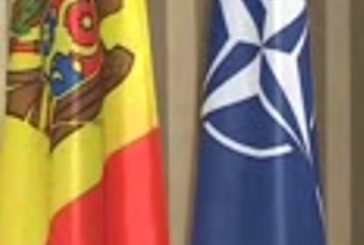 Aproape un sfert din moldoveni ar vota pentru aderarea la NATO