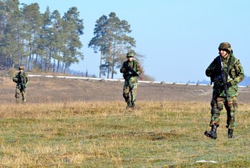 Militarii Armatei Naţionale la exerciţii multinaţionale în Germania şi România