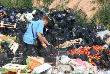 Asociația pentru protecția drepturilor consumatorilor din Rusia a contestat decretul privind distrugerea alimentelor