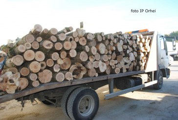 Autoritățile susțin că consumatorii casnici vor cumpăra lemn de foc la un preț similar celui de anul trecut. Agenții economici nu vor putea cumpăra de la Moldsilva lemn de foc pentru comercializare