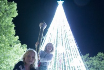 Bradul de Crăciun din Canberra are jumătate de milion de luminiţe