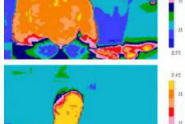 Un experiment cu o cameră termografică detectează dacă suntem cu adevărat îndrăgostiți