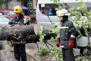 La Chișinău o femeie a murit după ce un copac a căzut peste ea