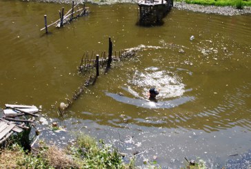 Din râul Răut au fost scoase peste 100 de garduri de nuiele