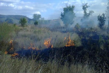 Incendiu intenţionat în lunca Răutului la Orhei