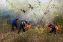 Comunicat DSE mun Orhei: continuă incendiile de vegetație