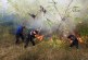 Comunicat DSE mun Orhei: continuă incendiile de vegetație