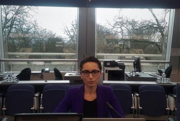 Ambasadoarea Corina Călugăru a moderat  reuniunea  privind politica informațională a Consiliului Europei