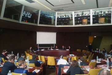 Reprezentanta Moldovei la Consiliul Europei aleasă într-o nouă funcţie importantă