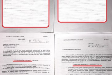 Trilemă: Consiliul Orășenesc sau  Municipal sau al Municipiului Orhei