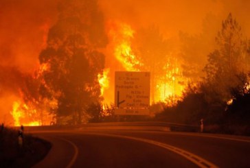 Portugalia: Trei zile de doliu, dupa ce un incendiu de vegetatie a ucis 61 de persoane, printre care si copii