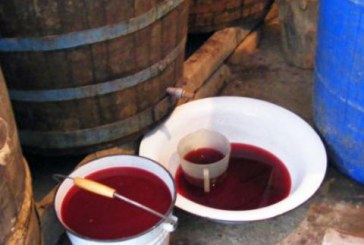 Sfaturi la fermentarea vinului