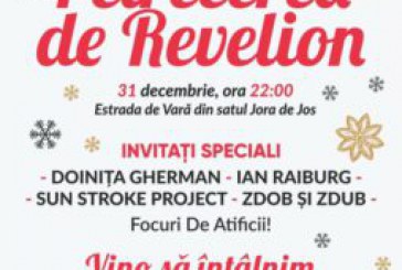 Despre costurile concertului de  Revelion la Jora – dupa eveniment. Ce (nu) a răspuns Marina Tauber  la întrebările ZdG