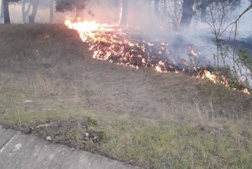 Pompierii din Orhei luptă cu flăcările care au cuprins o fâșie forestieră din cartierul Bucuria FOTO