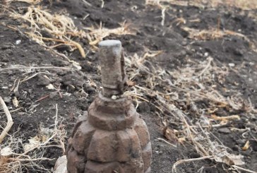 O grenadă a fost descoperită la Orhei în timpul lucrărilor agricole
