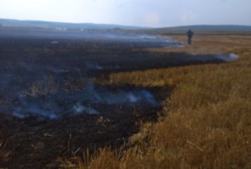 Flăcările au mistuit 14 ha de grâu la Brăviceni, Orhei. Pompierii au salvat 6 ha FOTO