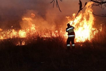 Peste 30 ha de vegetație au ars din cauza neglijenței umane în raioanele deservite de DSE Orhei