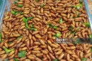 Experții FAO vor anunța ministerul Agriculturii dacă moldovenii pot să mănânce insecte